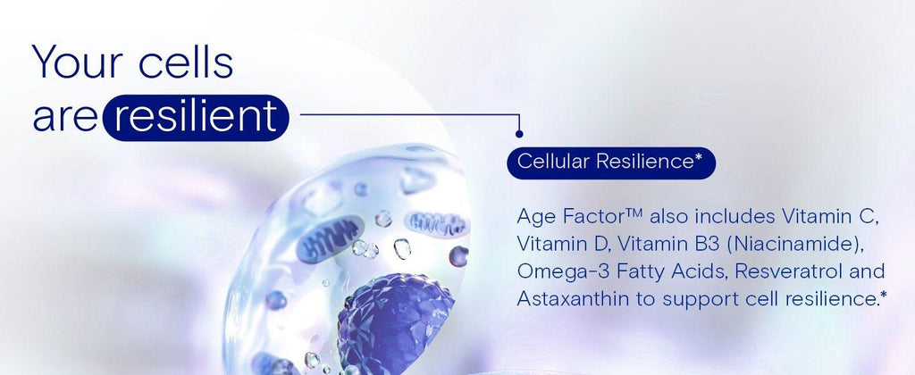 Age Factor includes ingredients to support cell resilience.