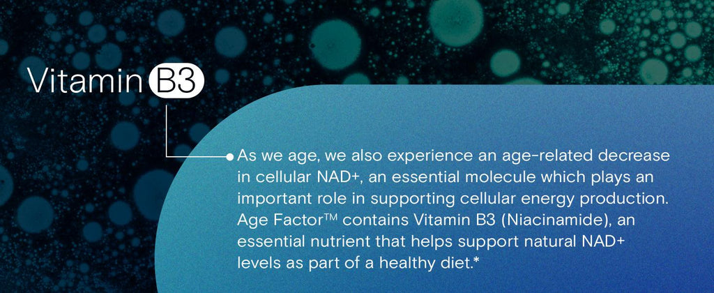 Age Factor contains Vitamin B3 to support natural NAD+ levels